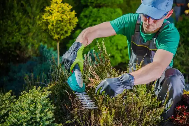 landscaping services Stonewall